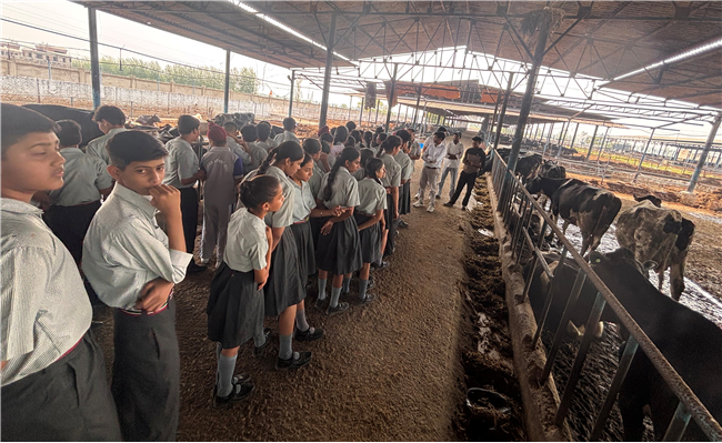 Dairy Visit