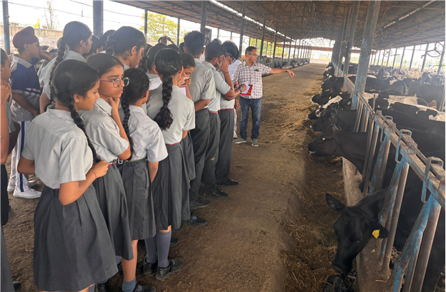 Dairy Visit