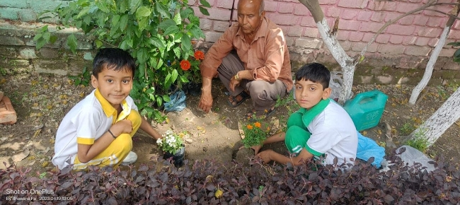 Some Glimpses of Plantation...