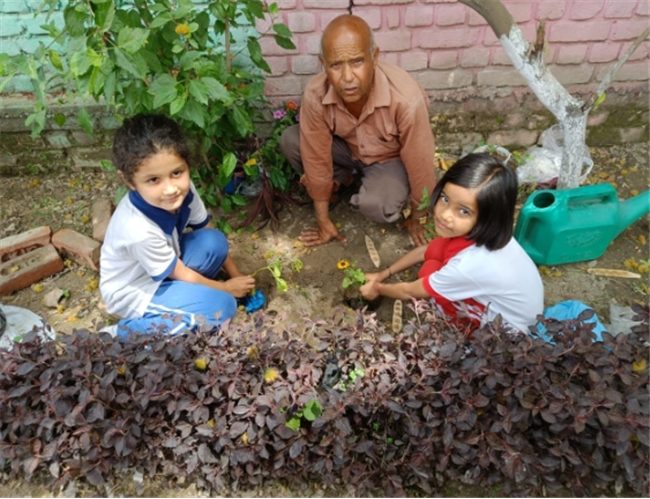 Some Glimpses of Plantation...
