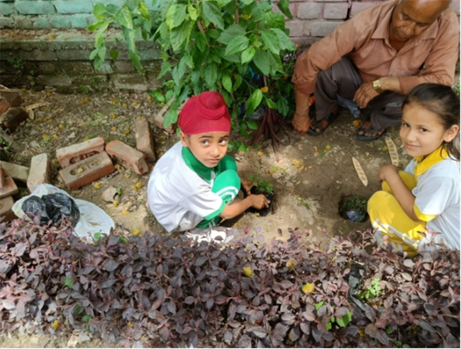 Some Glimpses of Plantation...