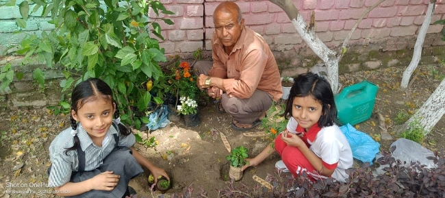 Some Glimpses of Plantation...