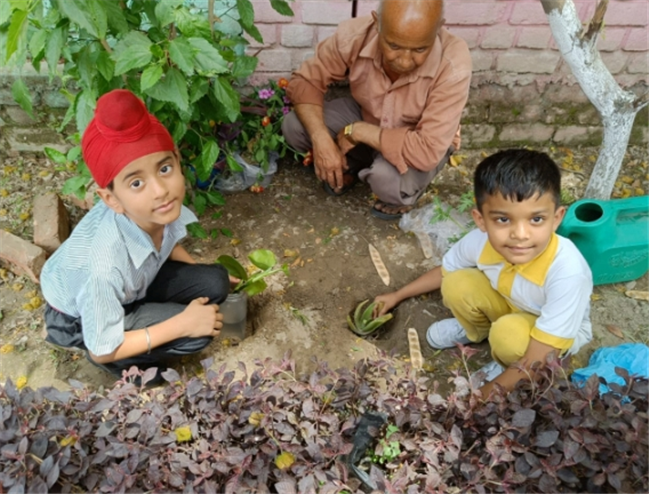 Some Glimpses of Plantation...