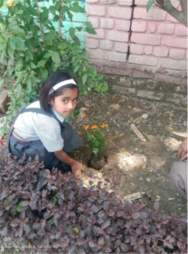 Some Glimpses of Plantation...