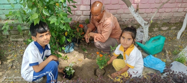 Some Glimpses of Plantation...