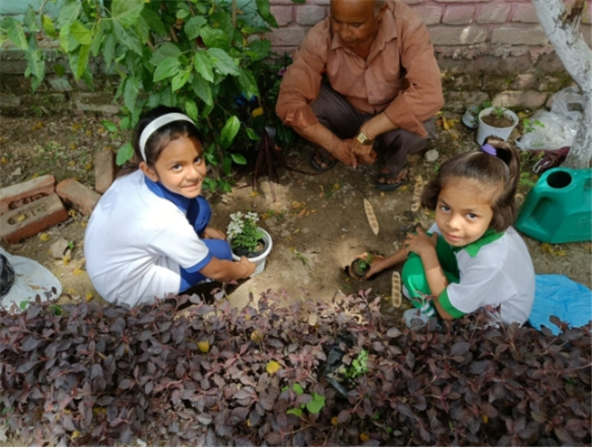 Some Glimpses of Plantation...