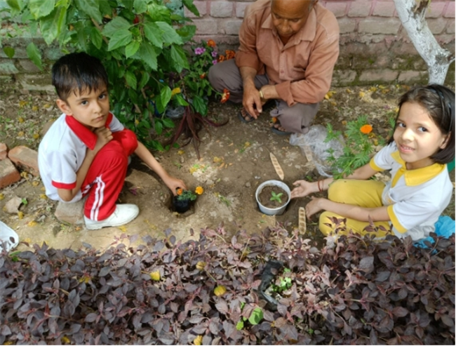 Some Glimpses of Plantation...