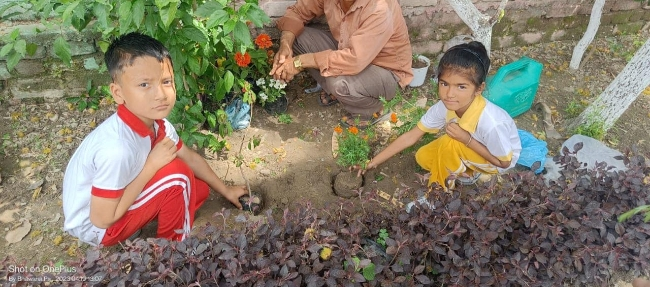 Some Glimpses of Plantation...