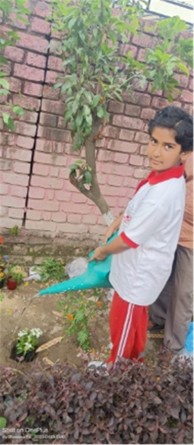 Some Glimpses of Plantation...