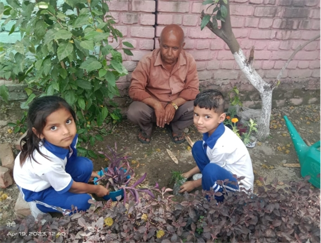 Some Glimpses of Plantation...