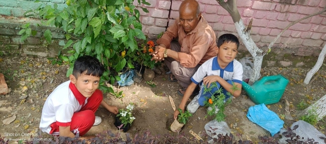 Some Glimpses of Plantation...