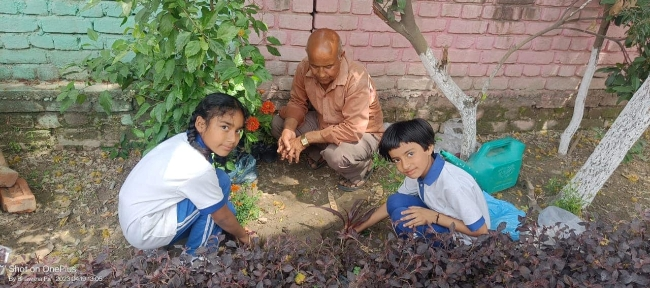 Some Glimpses of Plantation...