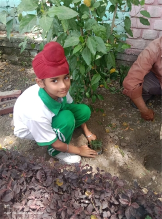 Some Glimpses of Plantation...