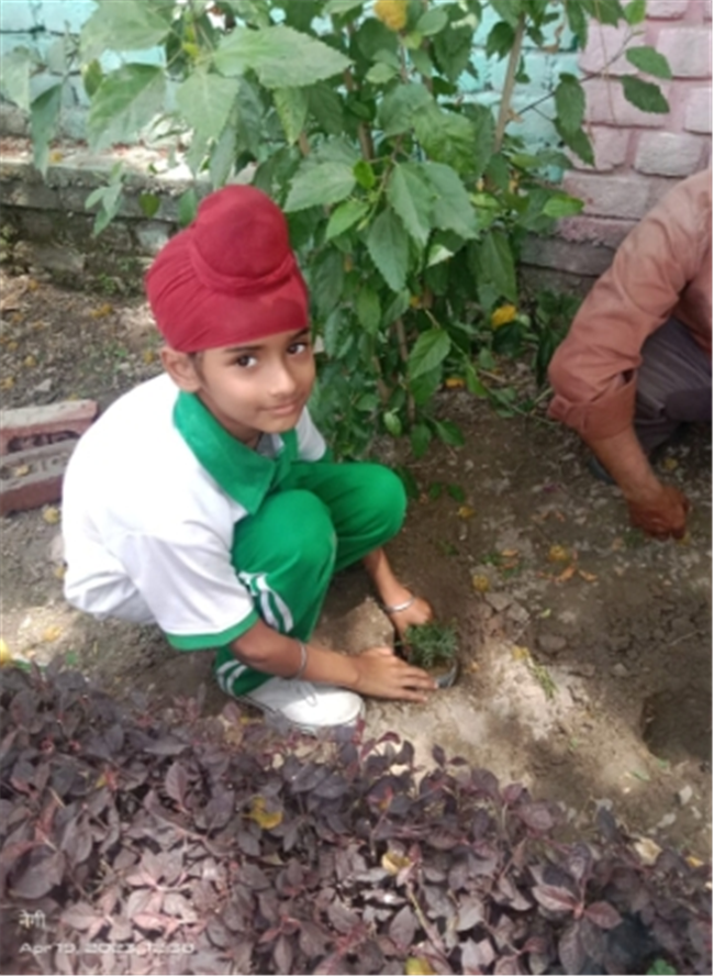Some Glimpses of Plantation...