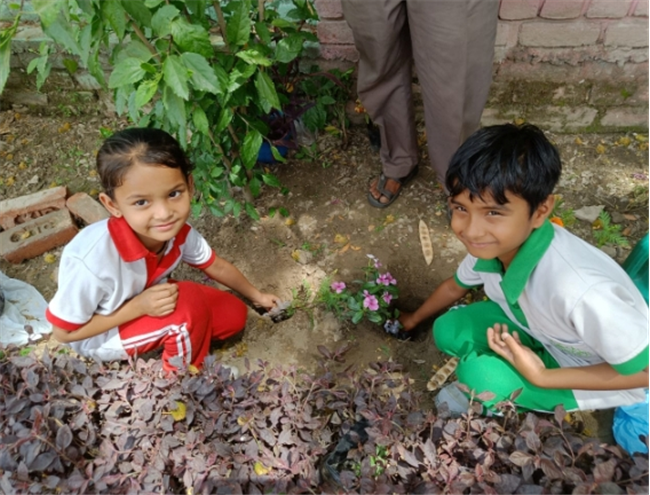 Some Glimpses of Plantation...