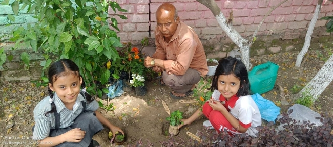 Some Glimpses of Plantation...