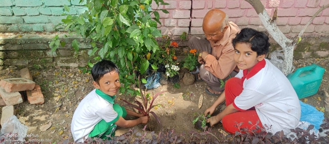 Some Glimpses of Plantation...