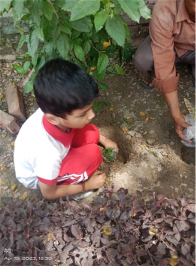 Some Glimpses of Plantation...