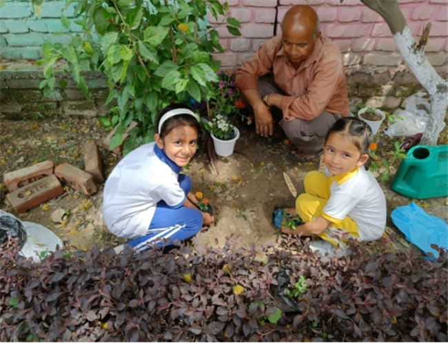 Some Glimpses of Plantation...
