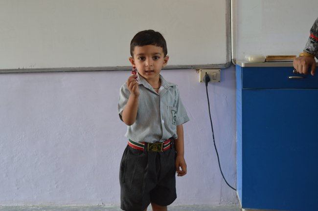 Red Colour Day Celebration