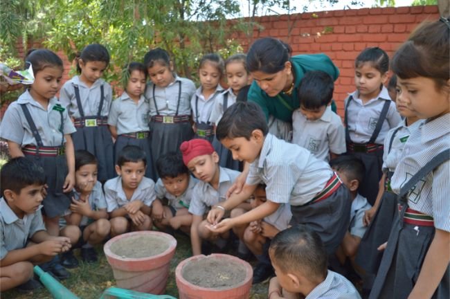 "Germination of seed" activity...