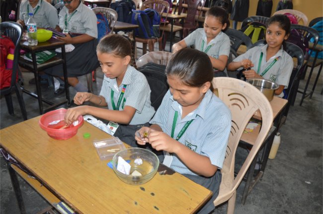 Class-5 Activity.