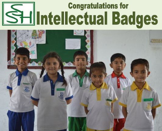 Intellectual Badges...